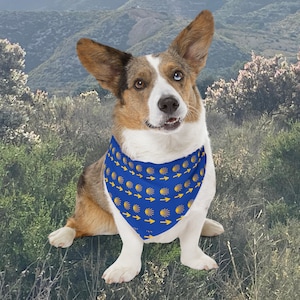 May include: A tri-color corgi dog wearing a blue bandana with a yellow pattern of handprints and arrows. The dog is sitting in a grassy area with a mountain backdrop. The dog has one blue eye and one brown eye.