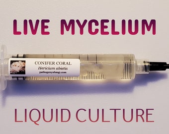 CONIFER CORAL Mushroom, liquid culture syringe, premium mycelium.