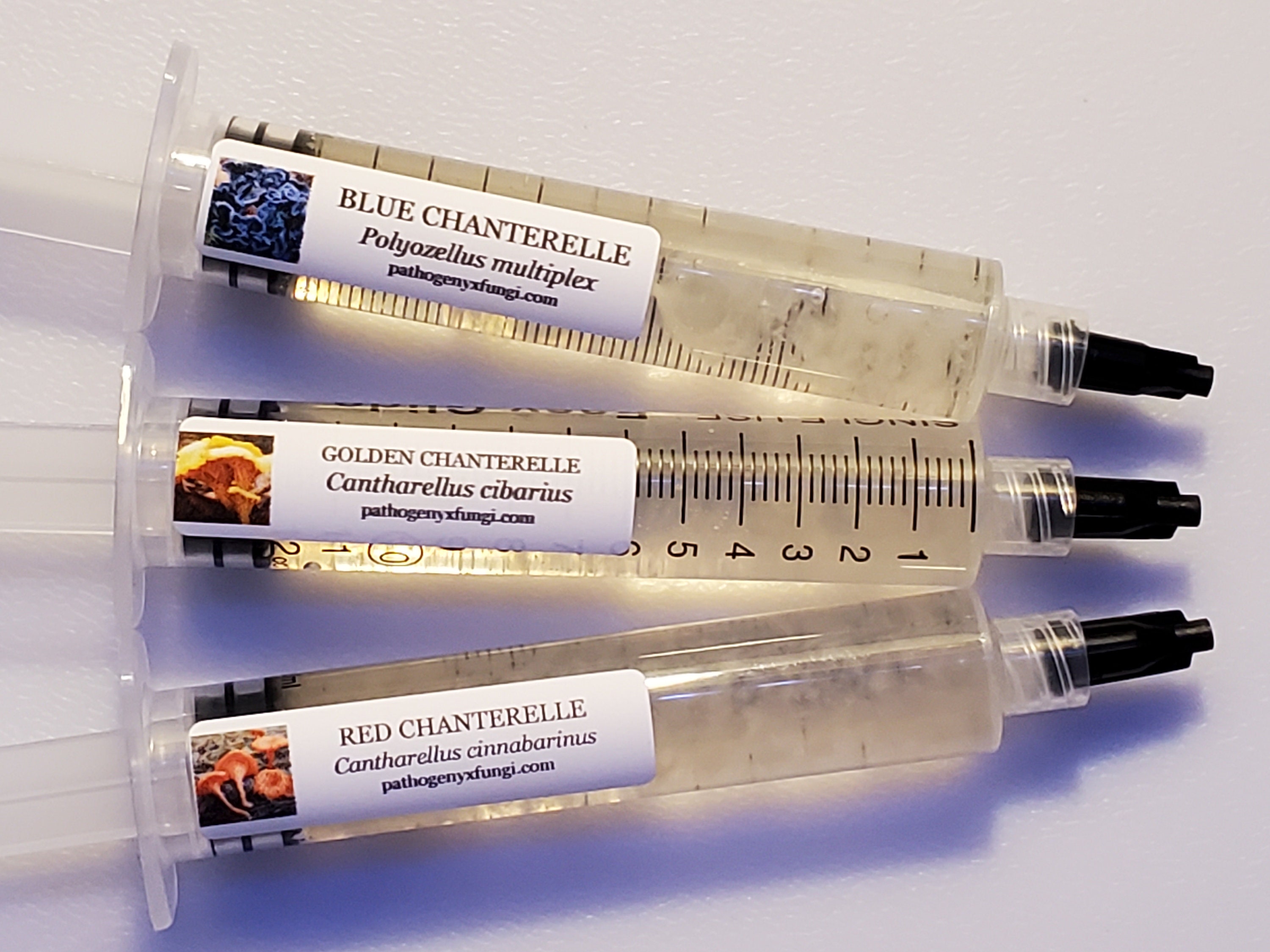 CHANTERELLE EXCLUSIVE COLLECTION, Mushroom Premium Liquid Culture