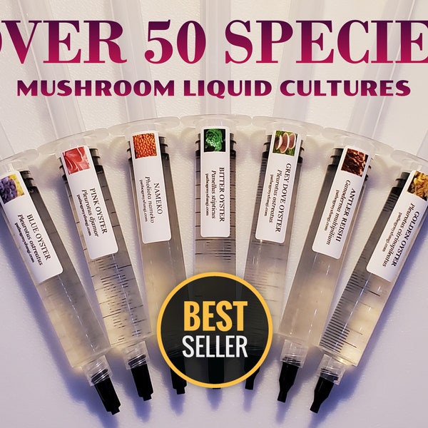 Mushroom Liquid Culture Syringe, Over 50 species, Premium mycelium.