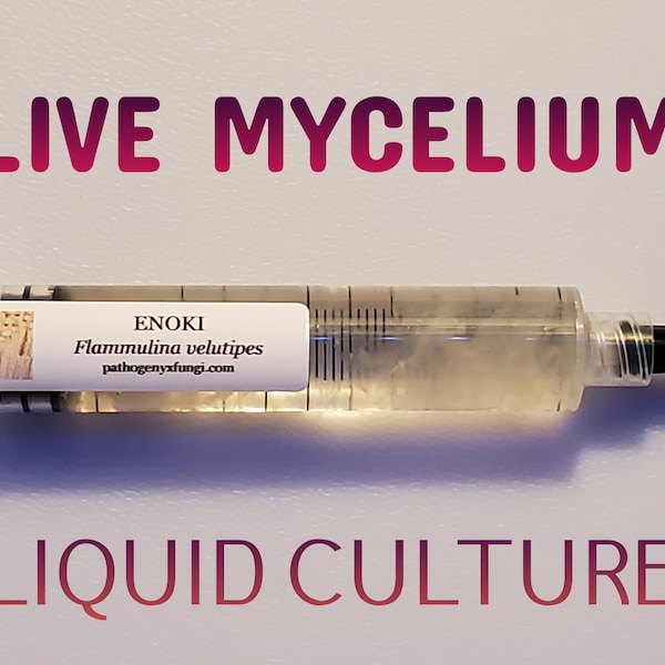 ENOKI Mushroom, liquid culture syringe, premium mycelium.