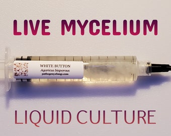 WHITE BUTTON Mushroom, liquid culture syringe, premium mycelium.