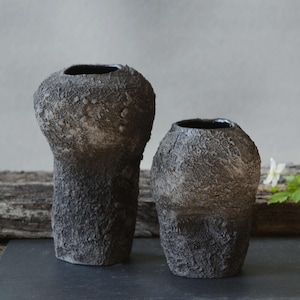 May include: Two textured, dark grey ceramic vases with black interiors. The vases have a rough, organic appearance, with one taller and more bulbous than the other. The background includes a wooden surface and greenery, suggesting a natural aesthetic.