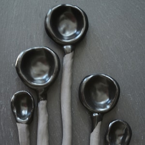 May include: Set of five black ceramic spoons of varying sizes. The spoons are glossy and have a smooth, rounded shape.