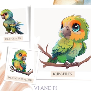 Baby Parrot Bird Beak Parakeet - 8 High Quality JPGs - Woodland Nursery - Clipart Cricut - Instant Download