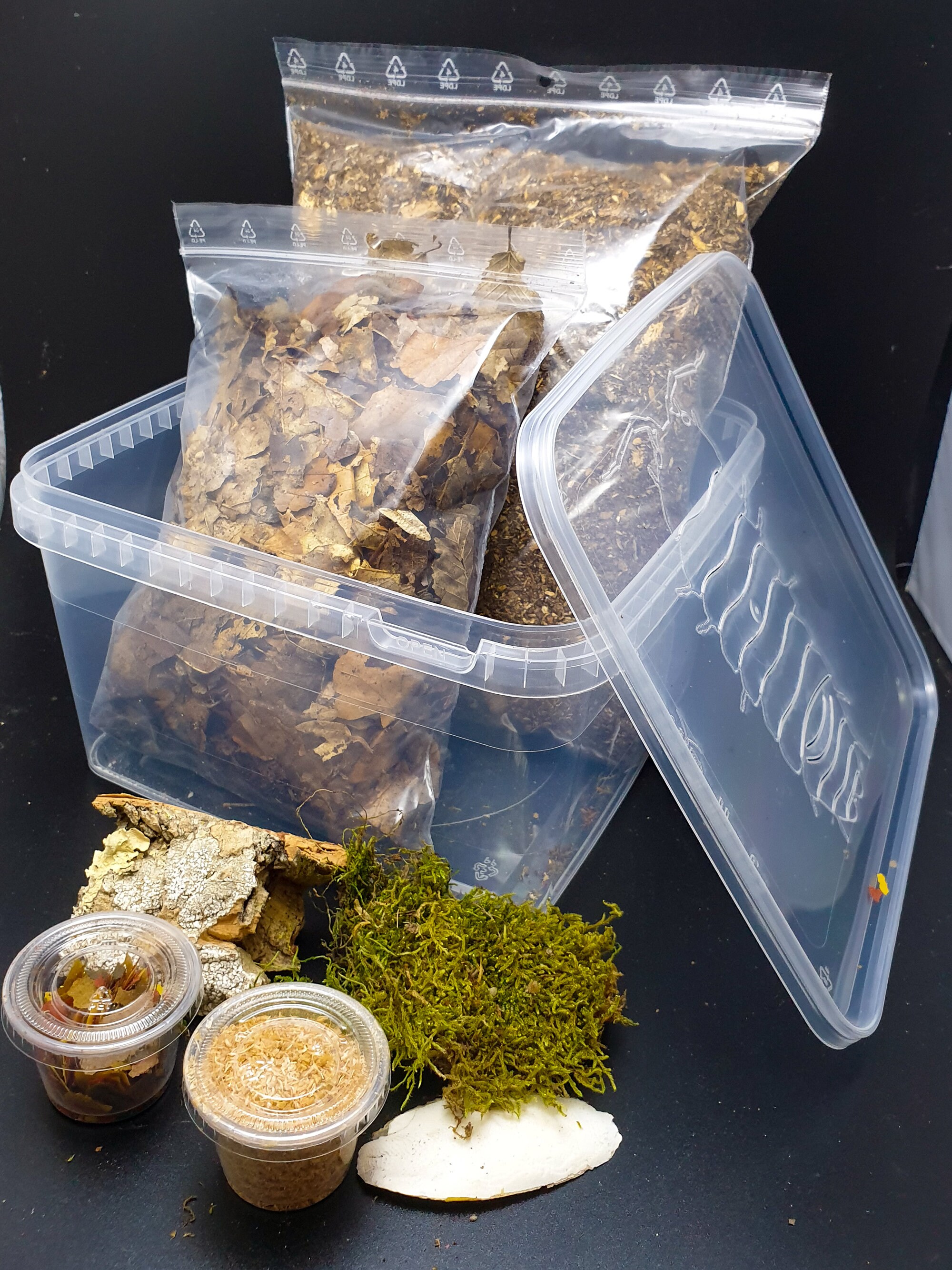 Kit d'élevage Isopodes - Tout Pour Débuter