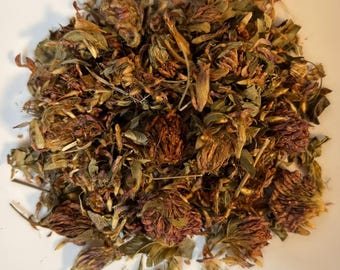 Organic Red Clover Tops