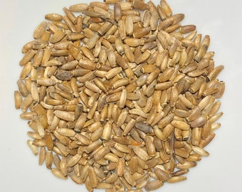 Organic Milk Thistle Seed