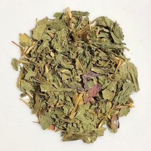 Organic Echinacea Purpurea