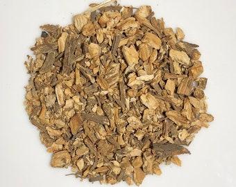 Organic Angelica Root