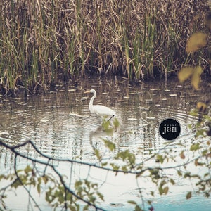 Heron Photography, Marsh landscape, Heron Art, Landscape Nature Photography, Heron Wall Art, Cottage Art, Cottage Decor, Bird Decor