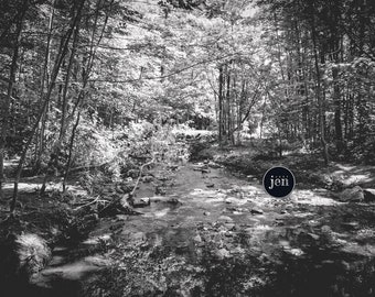 Fotografia in bianco e nero di Forest Creek: Moody Nature Art (download digitale)
