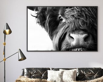 Printset Highland Cow: rustiek boerderijdecor (digitale download)
