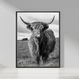 Vaca escocesa de las tierras altas, decoración del hogar, impresión de arte de pared en blanco y negro, vaca de las tierras altas, póster de animales, arte de pared, decoración de granja, 50x70 cm