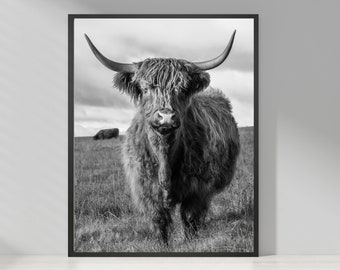 Print Schotse hooglandkoe: zwart-witte boerderijmuurkunst
