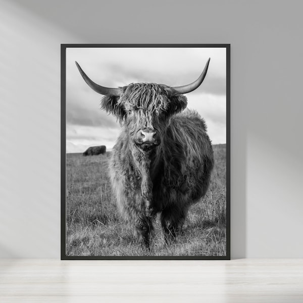 Highland Cow Print Black and White Etsy UK