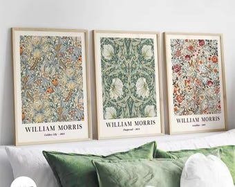 William Morris Leinwanddruck 3er Set | Abstrakte Blumen Wand Kunst | Vintage Botanische Poster Set | Großes ästhetisches Wohnzimmer-Dekor-Geschenk