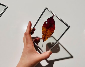 Stained glass wall panel with a pressed fall leaf