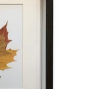 Dried Maple Leaves - Real Pressed Flowers & Leaves -                Botanical Home Decor - Elegant Natural Wall Art