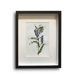 Gerahmte gepresste Wildblumen - Echte gepresste Blumen & Blätter - Botanisches Wohndekor - Elegante natürliche Wandkunst