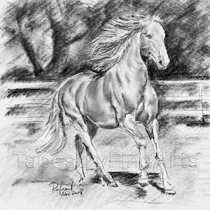 Small Edition print of an original artwork: Sketch of a horse running, graphite pencils on watercolor paper