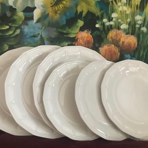 Vintage 6 Stück Pfaltzraff Heritage Weiße Verzierte Rand Steinzeug Teller