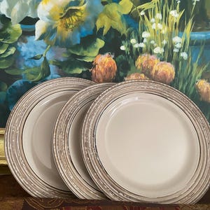 Thomson Pottery Textured Edges Microwave And Dishwasher Safe Dinner Plate 
