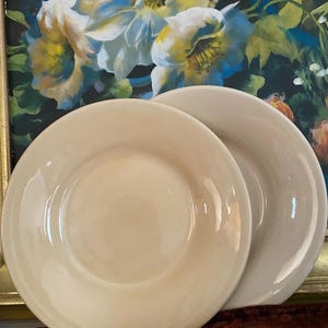 May include: Two cream-coloured ceramic plates. The plates are round with a slightly raised rim and a smooth, glossy surface. The plates are stacked slightly, with one partially obscuring the other. The background features a floral painting with yellow and white flowers.