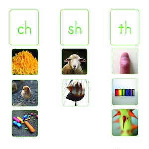 Montessori Initial Digraph Matching