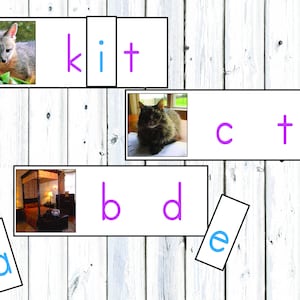 CVC Missing Vowels