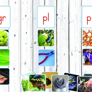Montessori Initial Blend Matching