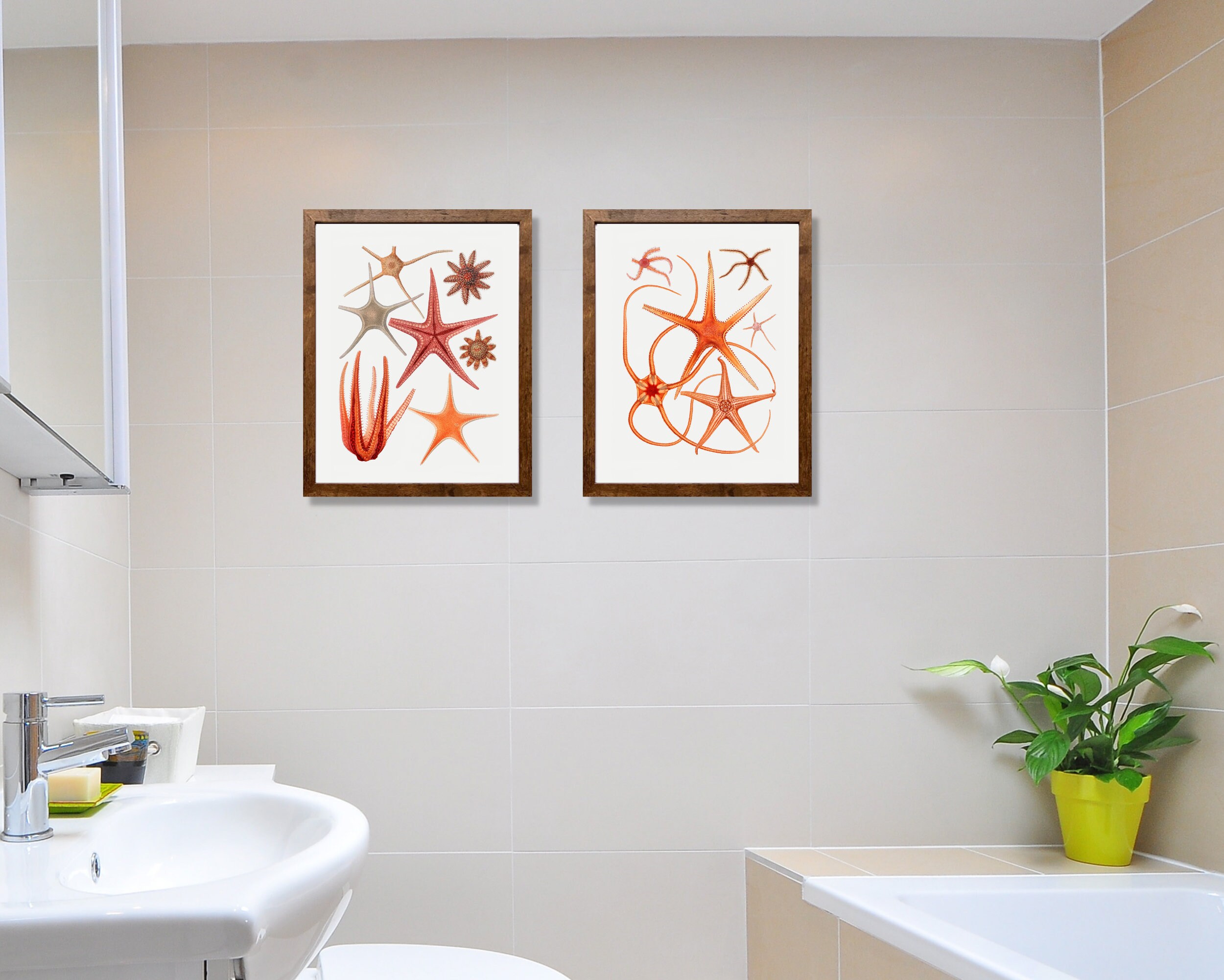 STARFISH WALL ART: Set of 3 Beautiful Red Starfish Digital Prints ...