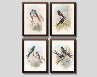 PRINTABLE ARTWORK: Set Of 4 Tree-Swift Digital Prints. Vintage Bird Illustrations from the 1800s. Multiple Sizes. Instant Download.