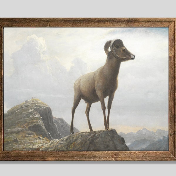 Bighorn Sheep Print. Vintage Sheep Painting c. 1800s. Printable Wall Art. Instant Download.
