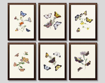 Butterfly Wall Art: Set of 6 Beautiful Butterfly Vintage Prints. Original Illustrations from the 1800s.  Multiple Sizes. Instant Download.