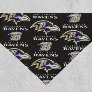 Ravens Dog Bandana