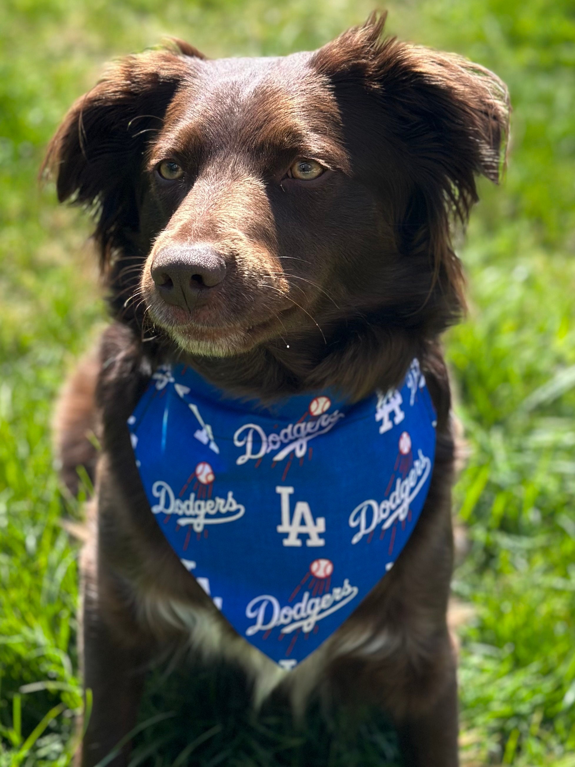 Dodger Dogs Etsy