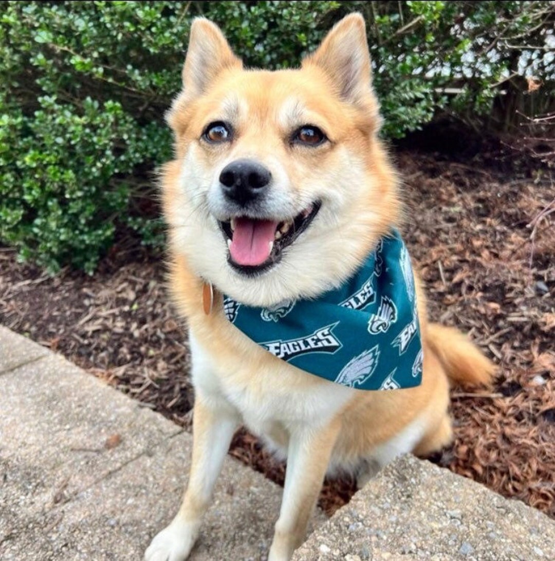 Eagles Dog Bandana Etsy