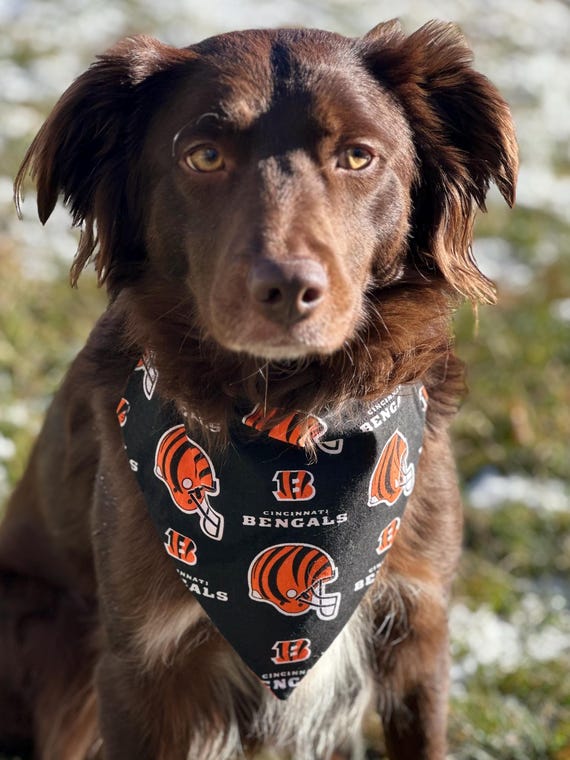 Cincinnati Bengals Dog Bandana