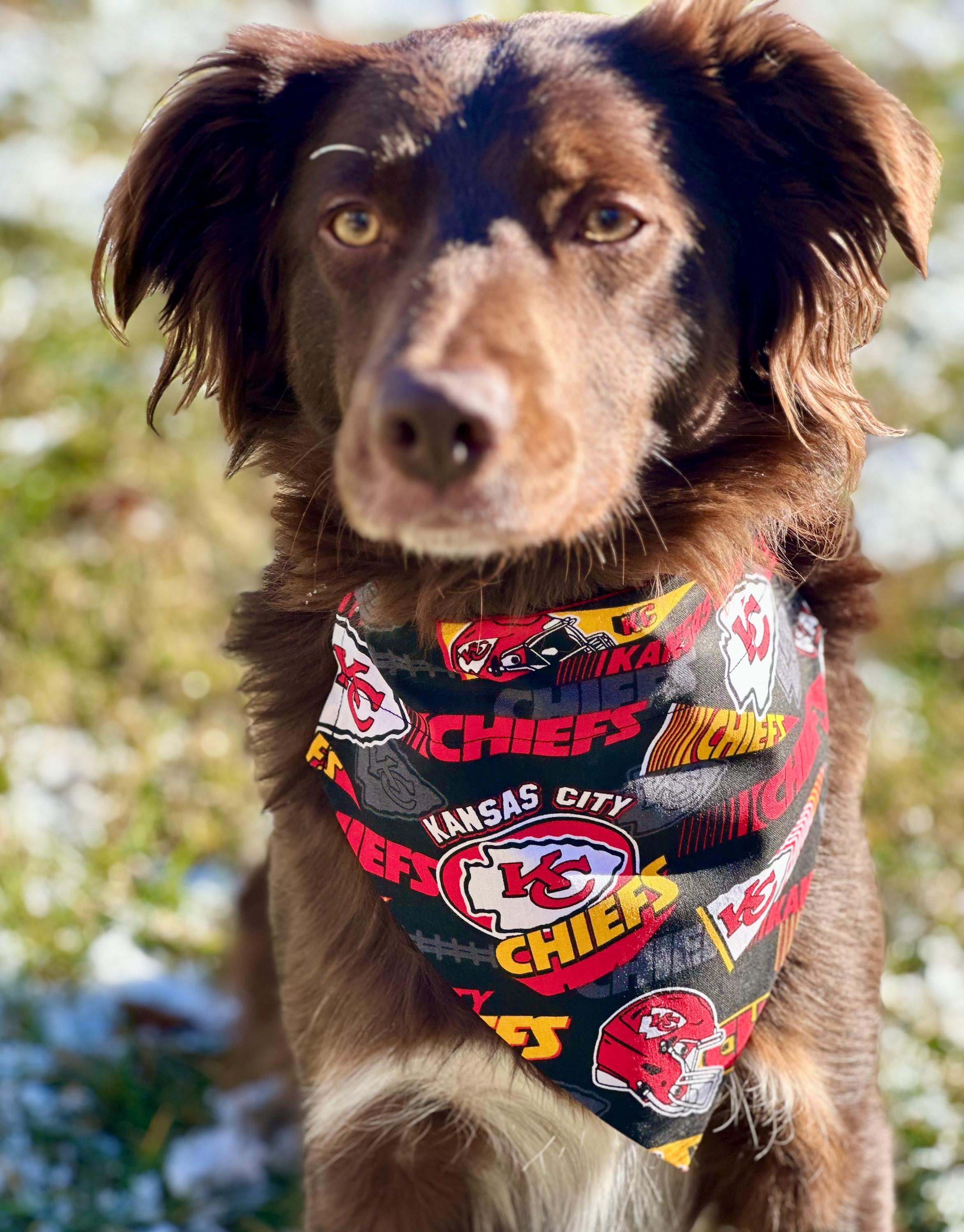 Vest Chiefs Dog Shirt Jersey Kelce NFL Kansas City Chiefs Dog
