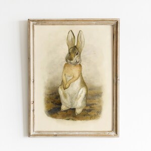 Original Beatrix Potter Illustration eines Hasen, Vintage Tierzimmer Druckbare Wandkunst, Digitale Beatrix Potter Druckkunst,