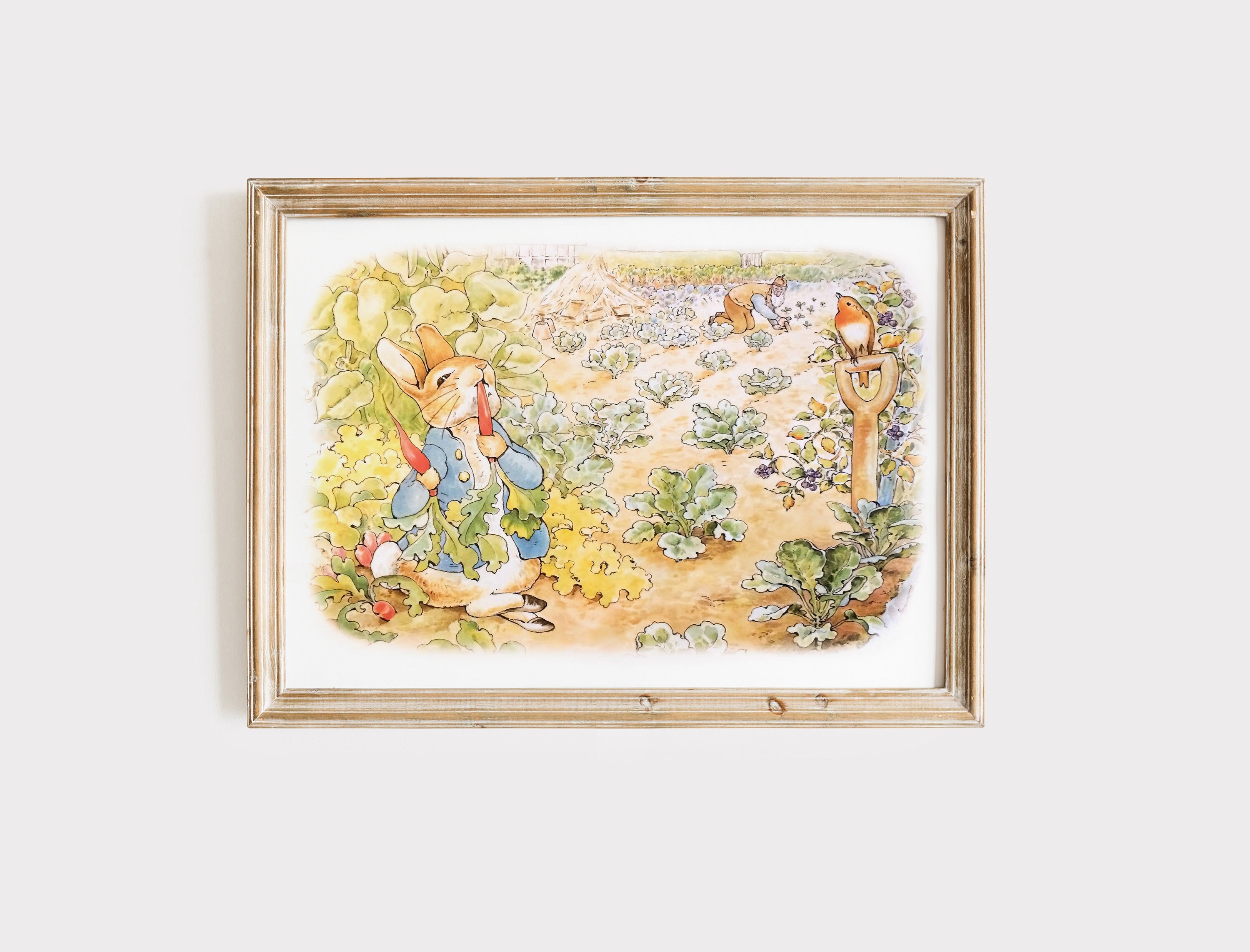 Peter Rabbit Eating Carrots in Mr Mcgregor's Garden Illustration ...