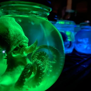 Glow In the Dark Wet Specimen Octopus ** MYSTERY **
