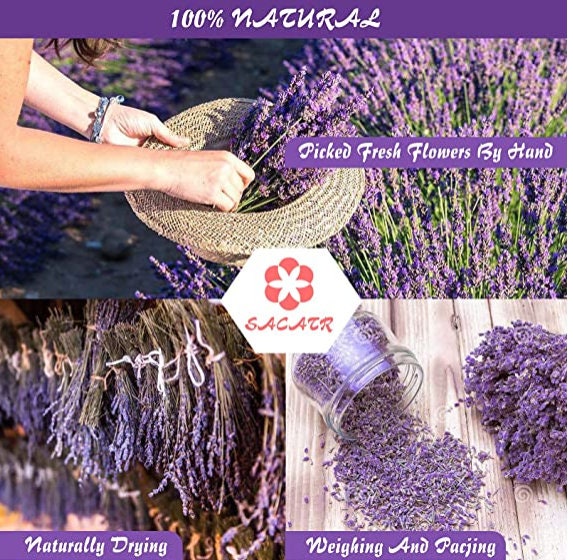 100 Natural Dried Flowers Herbs Kit for Soap Making DIY Etsy
