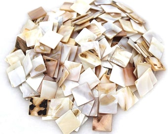 300Pcs Bulk Natural Mother of Pearl Mosaic tiles, Home Decoration & Handmade Crafts