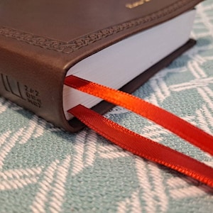 Cherry Ribbon Bookmark for Bibles and Journals | 2 Stranded