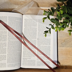 Dark Brown Ribbon Bookmark for Bibles and Journals | 2 Stranded