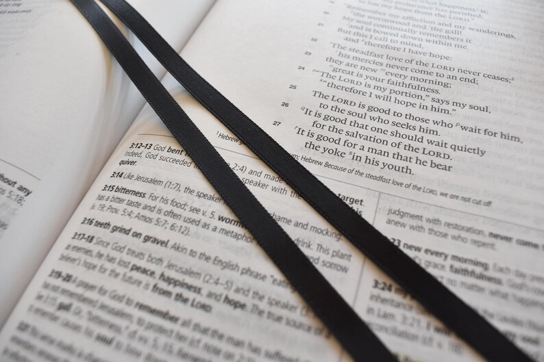 May include: Open book with black ribbon bookmarks. The pages are filled with text, and the ribbons are positioned diagonally across the open pages. The image has a soft, natural lighting.