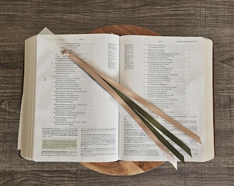 Eden Ribbon Bookmark for Bibles and Journals | 6 Stranded, 3/8 inch
