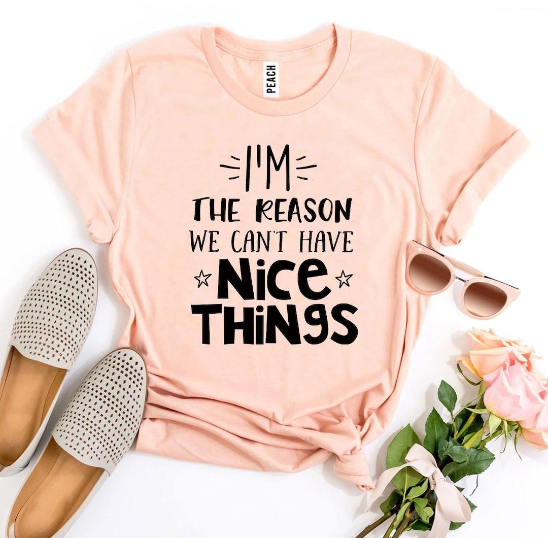 I'm the Reason We Can't Have Nice Things Tshirt Etsy(02)